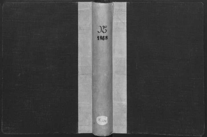 Registre des naissances, 1868