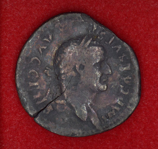 Mon 1414 - Vespasien