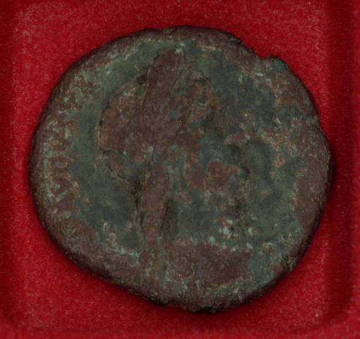 Mon 1384 - Hadrien