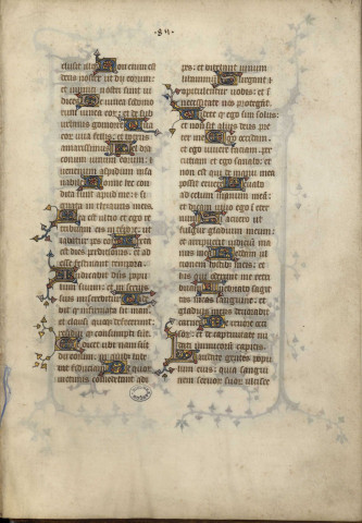 Ms 55 - Breviarii ad usum fratrum Praedicatorum fragmentum