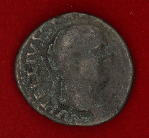 Mon 1372 - Vitellius