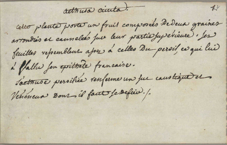 Ms 2138 - Charles Nodier. "Description succinte [sic] de 100 plantes recueillies pendant les premières années des recherches botaniques de Charles Nodier".