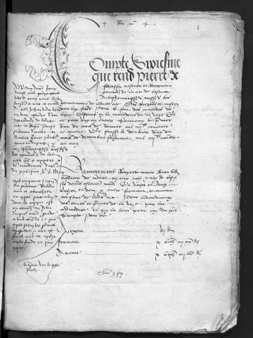 Comptes de la Ville de Besançon, recettes et dépenses, Compte de Pierre de Chaffoy (1er janvier - 31 décembre 1495)