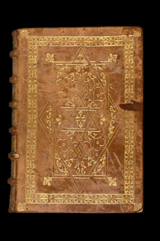 Ms 835 - Diodore de Sicile, Bibliothèque historique [Extraits :] livres XI-XV. Texte grec Diodori Siculi Bibliothecae historicae libri XI-XV)