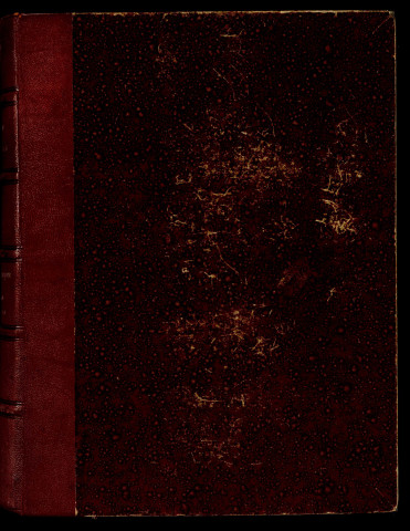 Ms 1814 - Notes sur l'histoire de Besançon. Le Moyen-Age. (IXe-XIIIe siècle). Notes d'Auguste Castan (1833-1892)