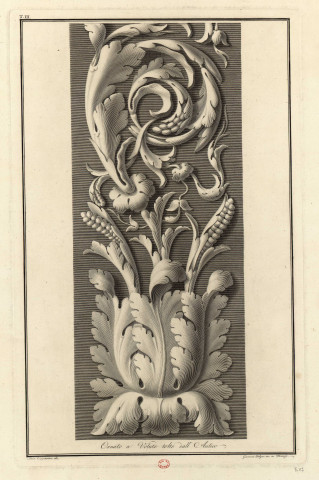 Feuille d'acanthe [Image fixe] / Luca Comparini dis., Giovanni Balzar inc. in Firenze , Florence (Italie), 1700/1799