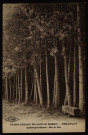 Maisons d'enfants des Salins de Bregille - Besançon - Superbregille-Garçons. - Bois de Pins [image fixe] , Besançon (Doubs) : Etablissements C. Lardier, C. L. B. dans un losange, 1914-1923