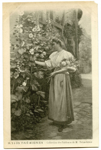 Roses trémières. Collection des Tableaux de M. Trémolières [image fixe] , 1897/1903