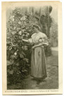 Roses trémières. Collection des Tableaux de M. Trémolières [image fixe] , 1897/1903