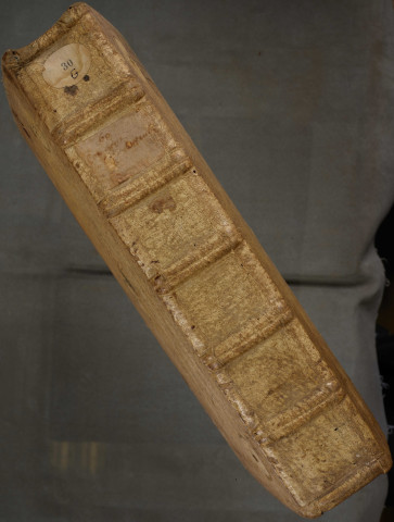 Ms 30 - Glossa ordinaria in epistolas S. Pauli