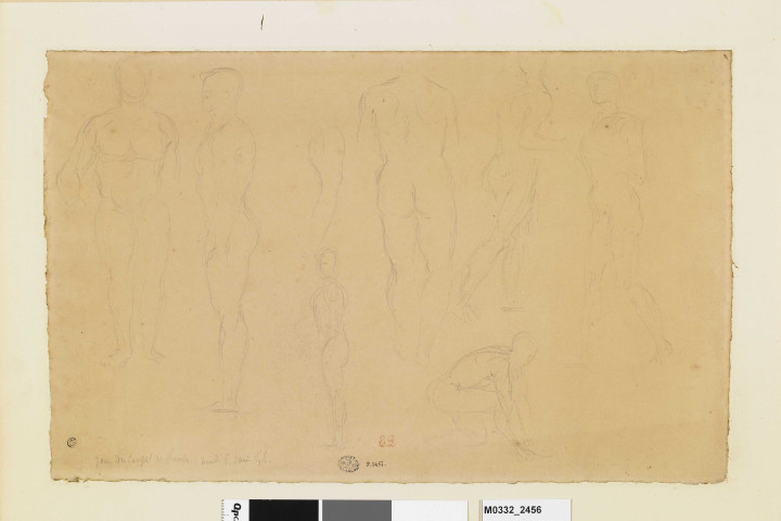 Sept anatomies d'hommes dans diverses positions