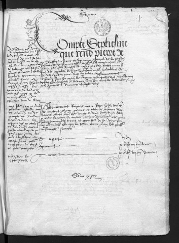 Comptes de la Ville de Besançon, recettes et dépenses, Compte de Pierre de Chaffoy (1er janvier - 31 décembre 1496)