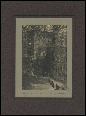 Leroux, Charles. Donjon du vieux château de Colombier