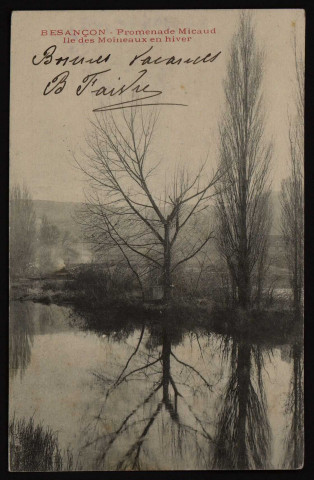 Besançon - Promenade Micaud - Ile des Moineaux en hiver [Image fixe] , 1896/1902