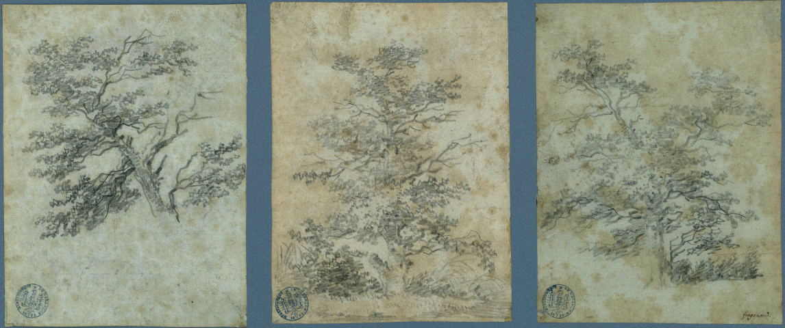 Trois études d'arbres / Jean-Honoré Fragonard , [S.l.] : [J.-H. Fragonard], [circa 1770]