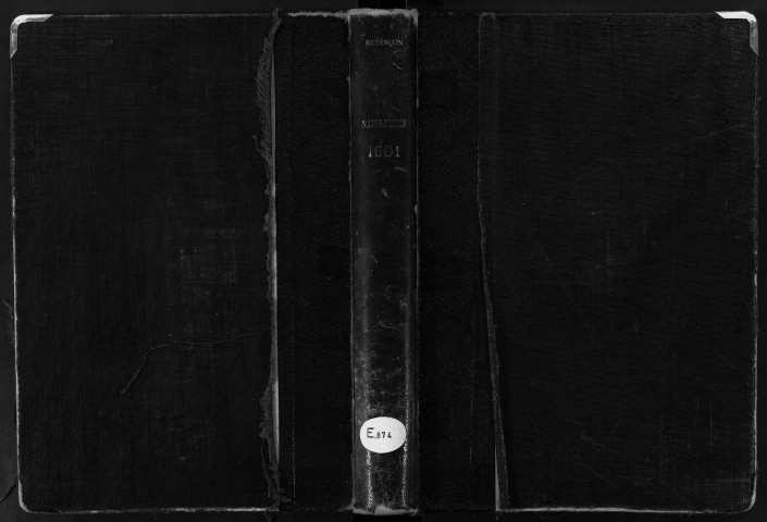 Registre des naissances, 1901