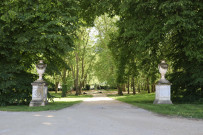 Vase ornemental ; Vases de Boutry