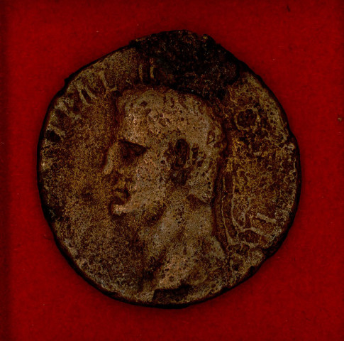 Mon 1803 - Caligula