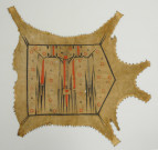 Cape à l'oiseau tonnerre