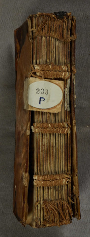 Ms 233 - Ivonis Carnotensis de ecclesiasticis sacramentis, Gaufridi Babionis et SS. Augustini et Bernardi sermones