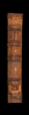 De re aedificatoria libri X Leonis Baptistae Alberti, repurgati per Eberhardum Tappium, editi ab Angelo Politiano