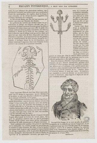 Magasin pittoresque Cuvier sa vie, ses travaux, histoire de l'homme fossile [image fixe]  : , 1800/1899
