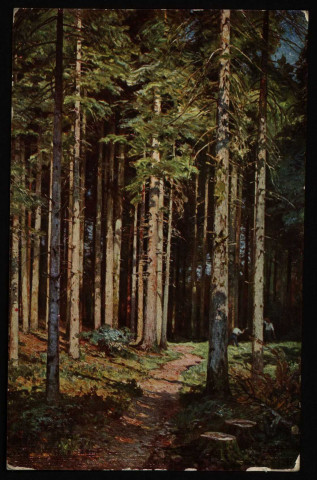 Forêt - Montagnes du Doubs. [image fixe] 1904/1906