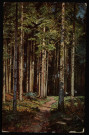 Forêt - Montagnes du Doubs. [image fixe] 1904/1906