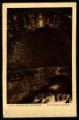 Besançon-les-Bains - Captage d'Arcier [image fixe] , Mulhouse-Dornach : Braun & Cie, Imp.-Edit., 1930/1950