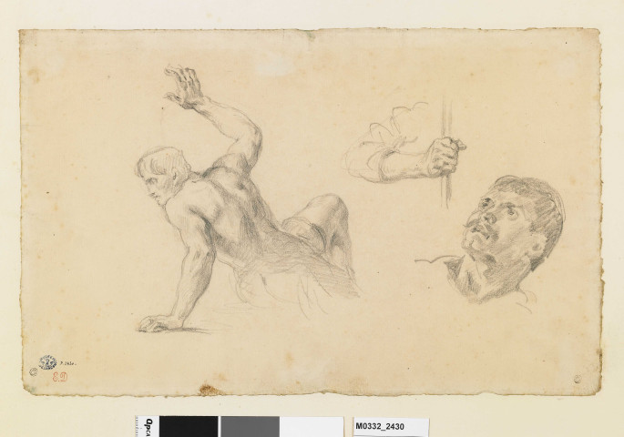 Études pour "Héliodore chassé du temple" : homme nu assis vu de dos, bras et main tenant un bâton, tête d'homme