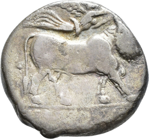 A.G141.15 - pièce de monnaie ; didrachme
