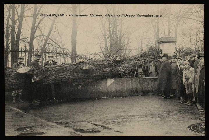 Besançon - Promenade Micaud, Effets de l'Orage Novembre 1910. [image fixe] , 1904/1910