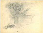 Le chêne de Buchenwald, dessin de Léon Delarbre