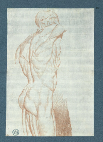 Etude de nu : tête, buste et à mi-jambes ; le corps tourné de trois quarts arrière droit, le visage regardant de trois quarts avant droit / Suvée , [S.l.] : [Suvée], [1700-1800]