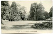 Besançon. Promenade Micaud. La grande pelouse [image fixe] , 1897/1903
