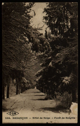 Besançon - Effet de neige - Forêt de Brégille [image fixe] , Besançon : Etablissements C. Lardier ; C.L.B, 1915/1930