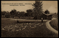Maisons d'enfants des Salins de Bregille - Besançon - Superbregille-Garçons. - Cure Solaire. [image fixe] , Besançon : Etablissements C. Lardier, C. L. B., 1914-1922