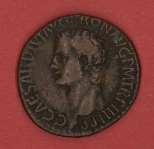 Mon 1730 - Caligula