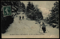 Les Sports d'Hiver à Besançon - le Ski à la Chapelle-des-Buis [image fixe]