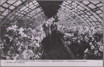 Besançon - G. Calame & Fils, horticulteurs - Besançon - Intérieur de la Serre. [image fixe] , Besançon : Louis Mosdier, édit. Besançon, 1904/1911