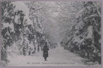 Besançon - Chemin du Fort Bregille pendant la Neige [image fixe] , 1904/1905