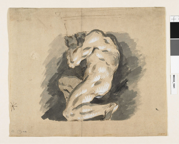 Etude d'un corps recroquevillé