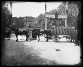 Concours hippique en extérieur