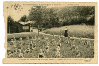 Les salins de Bregille par Besançon (Doubs). - Superbregille. - Cure Solaire. [image fixe] , Besançon : Etablissements C. Lardier, 1914-1935