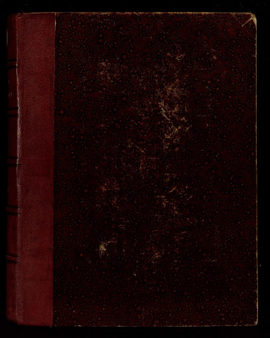 Ms 1812 - Les Chiflet. Notes d'Auguste Castan (1833-1892)