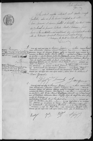 Registre des naissances, 1905