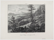 Auberge de la Vatay au milieu des forêts de la Dôle [estampe] : Jura / Ed. Hostein delt , [S.l.] : [s.n.], [1800-1899]
