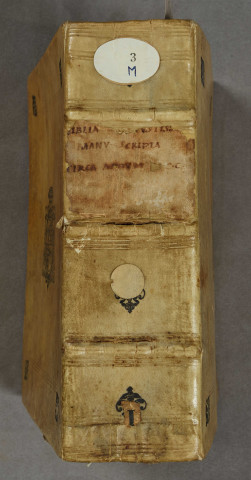 Ms 3 - Biblia sacra, cum epistola S. Hieronymi ad Paulinum et prologis