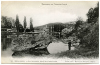 Besançon. Le Doubs au pied de Chaudanne [image fixe] , Besançon : J. Liard, 1901/1908