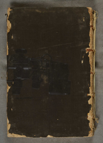 Ms 1242 - Plutarque (Plutarchus, 0046?-0120?), Vies (Vitae parallelae) : Phocion et Caton le Jeune, traduites en latin par Hermann Cruser (1516-1592)